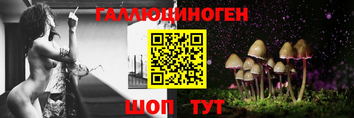 Среднеуральск  Галлюциногенные грибы Psilocybe  дарнет шоп  Псилоцибиновые грибы мицелий  Вход с VPN 